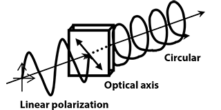 Drawing of principle of 1/4 wavelength plate