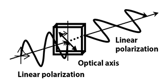 Drawing of principle of 1/2 wavelength plate