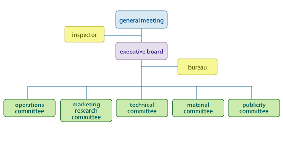organization chart