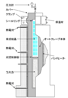 大型育成炉模式図